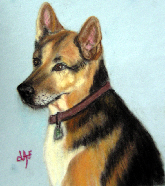 Rocky pastel dog pet portrait by fine artist Donna Aldrich-Fontaine