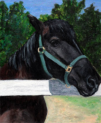 jake-black-horse-oil-animal-portrait-by-fine-artist-donna-aldrich-fontaine