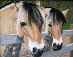 Beezy and Sam horse pastel pet portrait by fine artist Donna Aldrich-Fontaine