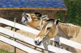 Laughing Fiords horse pastel pet painting by artist Donna Aldrich-Fontaine