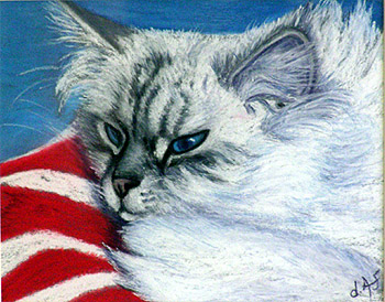 Josie pastel cat pet portrait by fine artist Donna Aldrich-Fontaine
