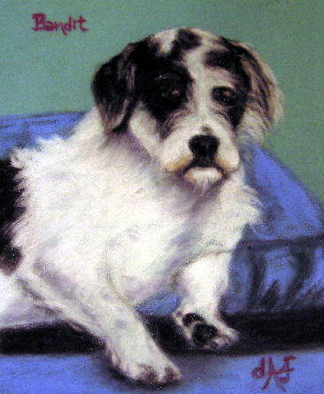 Bandit pastel dog pet portrait by Artist Donna Aldrich-Fontaine