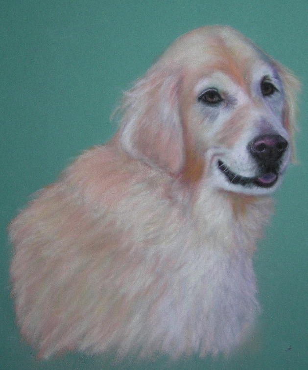 Charlie pastel dog pet portrait by Artist Donna Aldrich-Fontaine
