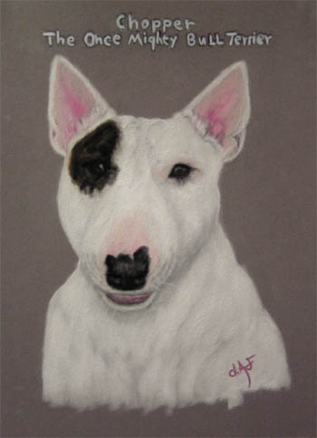 chopper pastel dog pet portrait by fine artist donna aldrich fontaine