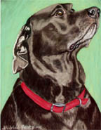 OJ pastel dog pet portrait by fine artist Donna Aldrich-Fontaine